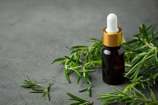 Glass dropper bottle of herbal hair oil placed beside fresh rosemary sprigs on a gray surface, representing natural hair care and scalp treatment